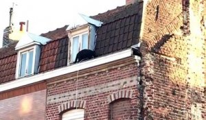 Une panthère noire sur les toits d'Armentières