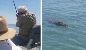 Un pêcheur pense attraper un gros poisson mais il se retrouve avec un crocodile