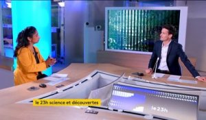 Sciences : un nouveau continent enfoui découvert