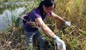 En Asie, des volontaires participent au World CleanUp Day