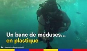 Au large de Bali, un océan de plastique