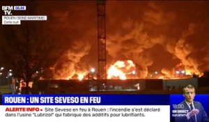 Incendie dans une usine classée Seveso à Rouen: le préfet affirme "qu'il n'y a pas de toxicité aiguë" sur les premiers relevés