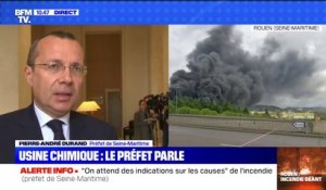 Incendie dans une usine à Rouen: le préfet n'exclut pas "un risque de pollution de la Seine" et des "retombées de suie"