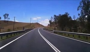 Pluie de serpents en pleine route en Australie, ils se retrouvent avec un serpent sur le pare-brise