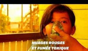 En Indonésie, les incendies mettent en danger la santé de 10 millions d'enfants