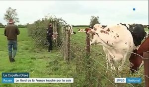 Rouen : le nord de la France touché par la suie