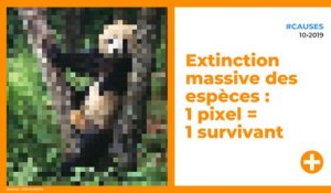 Extinction massive des espèces : 1 pixel = 1 survivant