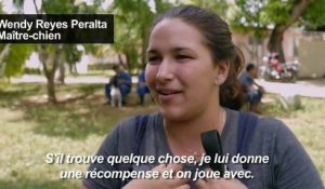 A Cuba, des chiens formés à la française pour renifler l'argent