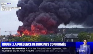 À Rouen, la présence de dioxines dans l'air est confirmée