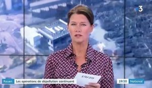 Incendie de l'usine Lubrizol à Rouen : opérations de dépollution en cours