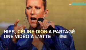 Atteinte d'un virus, Céline Dion annule deux concerts et s'excuse