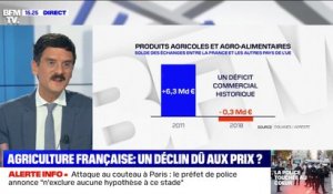 L'agriculture a longtemps été le fleuron du commerce français : comment expliquer le déclin du secteur?