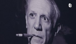 Reportage -  Picasso à Grenoble