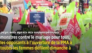 Paris : manifestation des anti-PMA pour demander le retrait du texte
