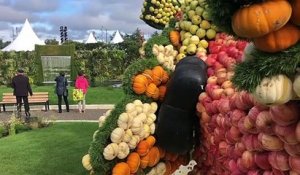 Mulhouse : le devenir des fruits et des légumes après Folie'Flore