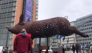 Une sculpture de cochon devant la Commission européenne pour interdire les cages