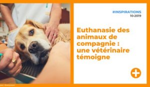 Euthanasie des animaux de compagnie : une vétérinaire témoigne