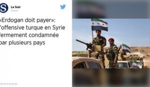Offensive turque en Syrie. La France condamne et saisit le Conseil de sécurité de l'ONU