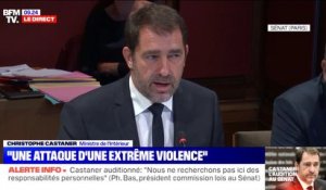 "Personne ne fait de lien entre la religion musulmane et le terrorisme", assure Christophe Castaner devant la commission des lois du Sénat