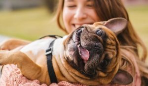 Avoir un chien augmenterait l'espérance de vie selon une étude