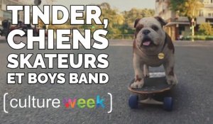 Culture Week by Culture Pub - Tinder, chiens skateurs et boys band