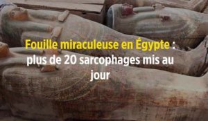 Fouille miraculeuse en Égypte : plus de 20 sarcophages mis au jour