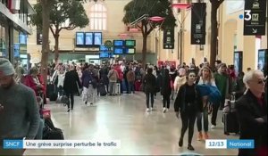 SNCF : une grève surprise chamboule le trafic