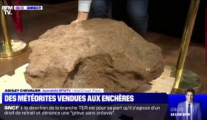 Cette météorite est le clou de la vente aux enchères à l'Hôtel Drouot