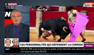 Morandini Live - Laurent Weil défend la corrida : "C'est l’école de la vie" (vidéo)