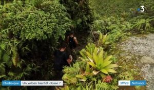 Martinique : la Montagne Pelée bientôt classée au patrimoine mondial ?