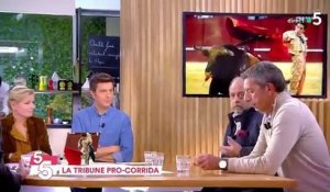 Pierre Arditi et Éric Dupond-Moretti défendent les corridas: "Le sang des taureaux ce n'est pas comme le sang humain !"