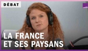 La France et ses paysans : amour déçu
