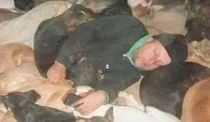 Dejan Gacic, l'homme qui n'hésite pas à dormir avec 600 chiens abandonnés pour les protéger des températures glaciales
