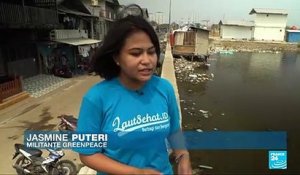 Sous les eaux, la capitale indonésienne Jakarta va être "déménagée"