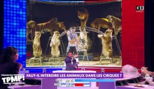 Faut-il interdire les animaux dans les cirques ?