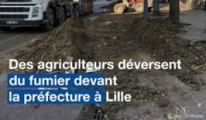 Lille: Des tonnes de fumier déversées devant la Préfecture