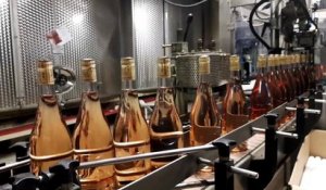 Mise en bouteilles de la cuvée commune des vignerons des Côtes de Toul