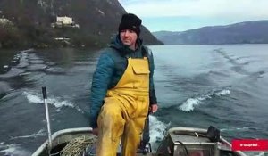 La pêche au lavaret sur son rythme de croisière au lac du Bourget