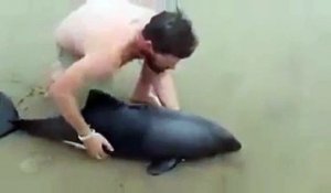 Un touriste sauve un bébé orque échoué sur la plage