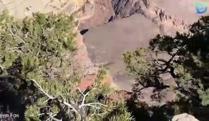 Une femme a frôlé une terrible chute dans le Grand Canyon