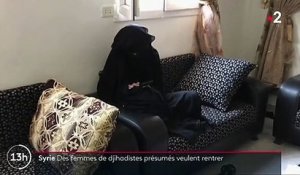 "Je veux rentrer en France" : le témoignage de femmes de jihadistes présumés en Syrie