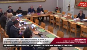 Lubrizol : la commission d'enquête du sénat auditionne delphine batho et corinne - Les matins du Sénat (12/11/2019)