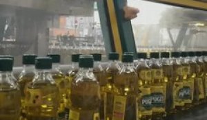 Vitrolles: Dans les coulisses de l'huile d'olive Puget