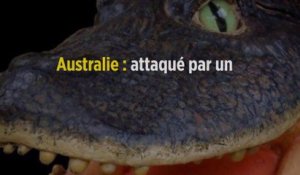 Australie : attaqué par un crocodile, il survit en lui mettant le doigt dans l'œil.