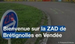 Vendée: Des zadistes protestent contre la construction d'un port de plaisance à Brétignolles sur Mer