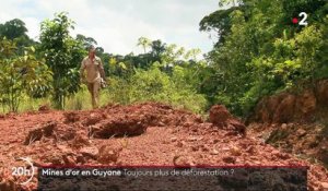 Déforestation: les chercheurs d'or guyanais dans le viseur des militants écologistes