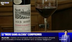 Le "mois sans alcool", envisagé en janvier, contesté par les vignerons