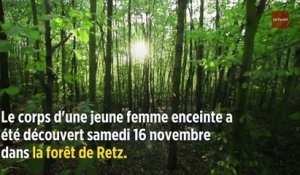 Aisne : décès d'une femme enceinte attaquée par des chiens