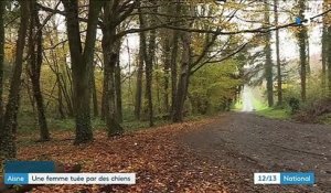 Aisne : une jeune femme tuée par des chiens dans la forêt