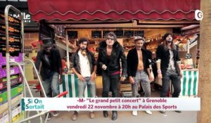 21 NOVEMBRE 2019 - -M- "Le grand petit concert", Là ou vont nos pères, Casse-Noisette, Les quatre saisons avec un peu de Vivaldi